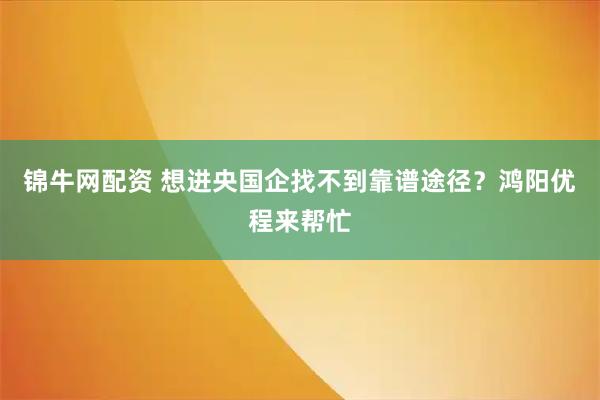 锦牛网配资 想进央国企找不到靠谱途径？鸿阳优程来帮忙