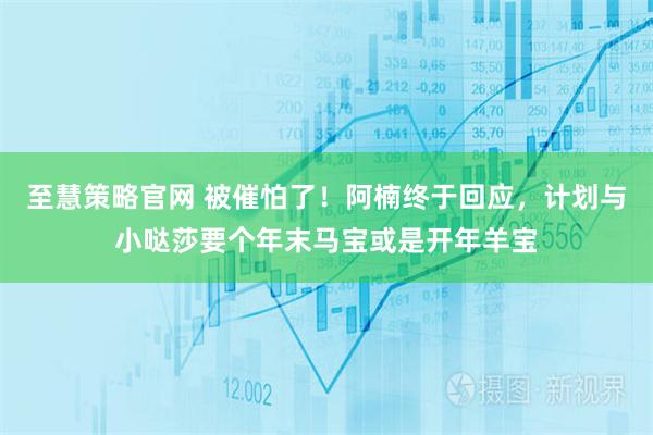 至慧策略官网 被催怕了！阿楠终于回应，计划与小哒莎要个年末马宝或是开年羊宝