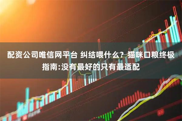 配资公司唯信网平台 纠结喂什么？猫咪口粮终极指南:没有最好的只有最适配