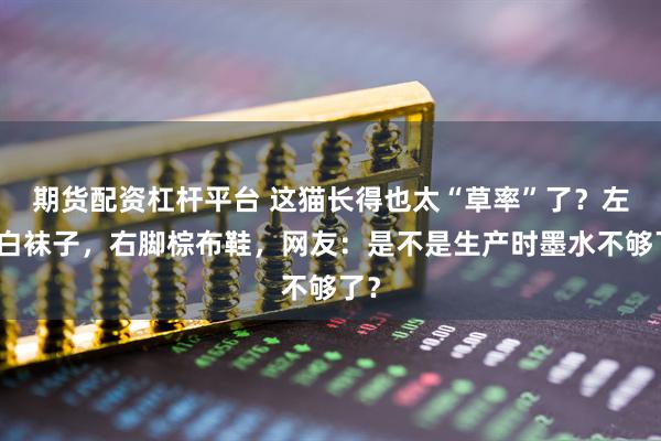 期货配资杠杆平台 这猫长得也太“草率”了？左脚白袜子，右脚棕布鞋，网友：是不是生产时墨水不够了？