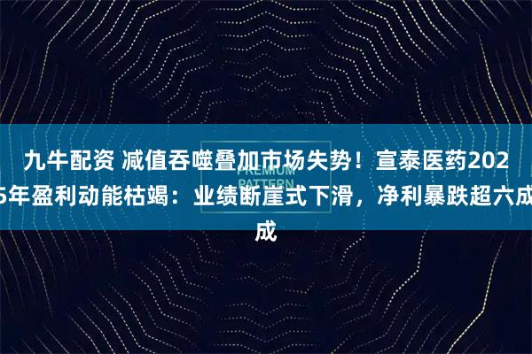 九牛配资 减值吞噬叠加市场失势！宣泰医药2025年盈利动能枯竭：业绩断崖式下滑，净利暴跌超六成